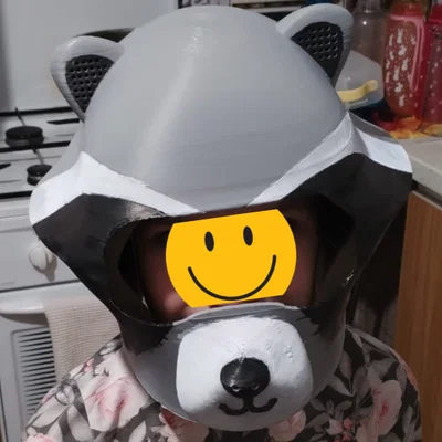Mũ bảo hiểm trẻ em hình gấu mèo (Raccoon Helmet) cho bé yêu
