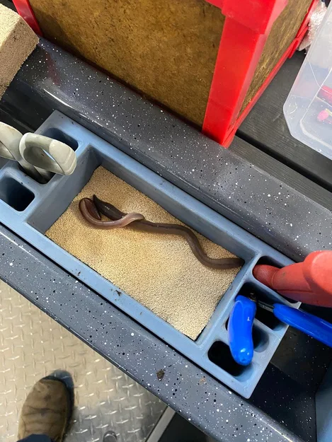 Khay lưu trữ gắn đuôi tàu cho Duckworth Pacific Navigator - Image 3