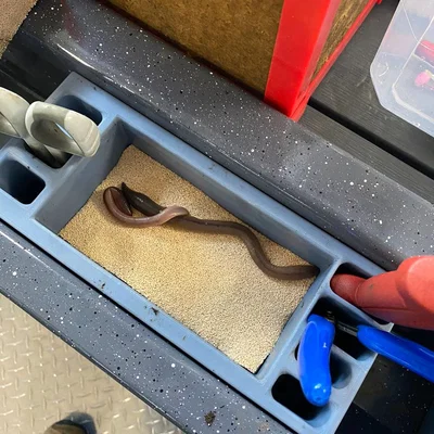 Khay lưu trữ gắn đuôi tàu cho Duckworth Pacific Navigator