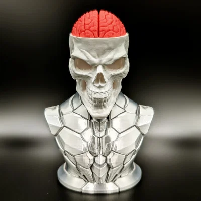Craniumortis - Tượng bán thân đa phần (Không cần AMS)
