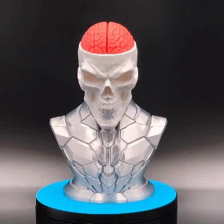 Craniumortis - Tượng bán thân đa phần (Không cần AMS)