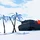 ryanhall_4550745