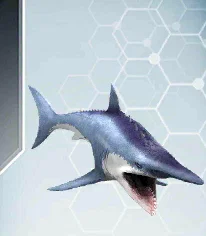 Mô hình 3D cá mập tiền sử Helicoprion (Buzzsaw Shark) siêu chi tiết - Image 1