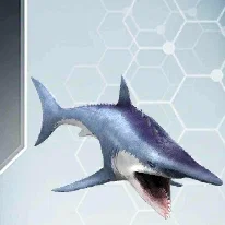 Mô hình 3D cá mập tiền sử Helicoprion (Buzzsaw Shark) siêu chi tiết