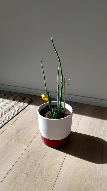 Chậu cây 6 inch (có lỗ thoát nước) kèm đĩa lót tiện lợi - Image 1