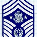 Mô hình cấp hiệu Không quân (Airforce Enlisted Ranks) in 3D - Thumbnail 13