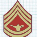 Bộ phù hiệu cấp bậc học viên Thủy quân lục chiến (Marine Corps) STL - Thumbnail 6
