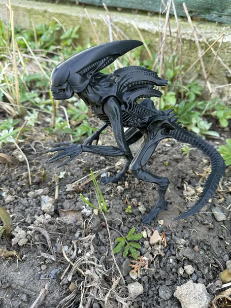 Mô hình Alien, xenomorph từ Prometheus và Covenant - Image 2