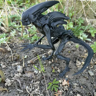 Mô hình Alien, xenomorph từ Prometheus và Covenant