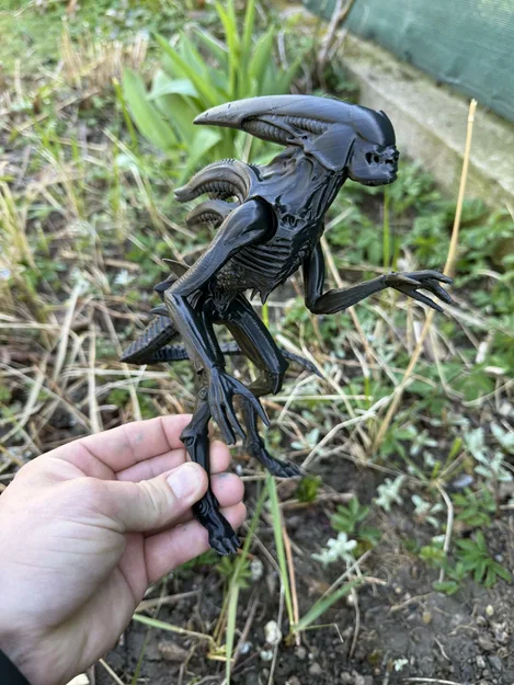 Mô hình Alien, xenomorph từ Prometheus và Covenant - Image 3