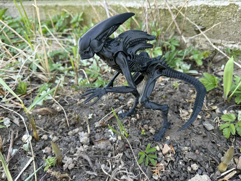 Mô hình Alien, xenomorph từ Prometheus và Covenant - Image 4