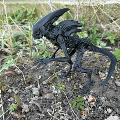 Mô hình Alien, xenomorph từ Prometheus và Covenant