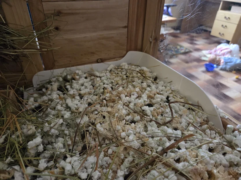 Nhà vệ sinh cho thú gặm nhấm - Image 2