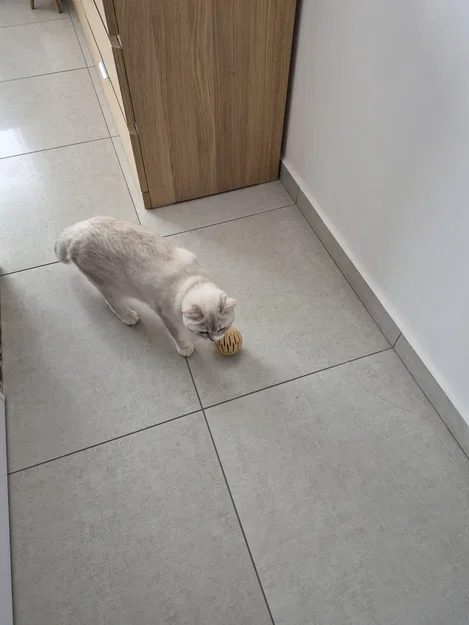 Quả bóng đồ chơi in 3D thông minh cho mèo cưng - Image 2