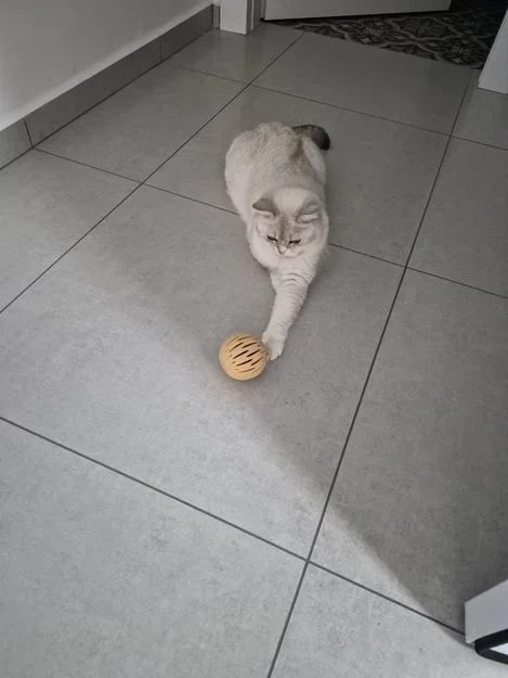 Quả bóng đồ chơi in 3D thông minh cho mèo cưng - Image 3