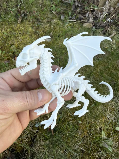 Bone Dragon, bộ xương rồng ấn tượng - Image 2