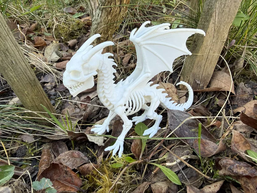 Bone Dragon, bộ xương rồng ấn tượng - Image 3