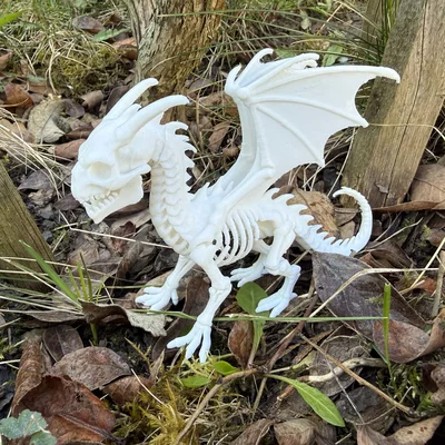 Bone Dragon, bộ xương rồng ấn tượng