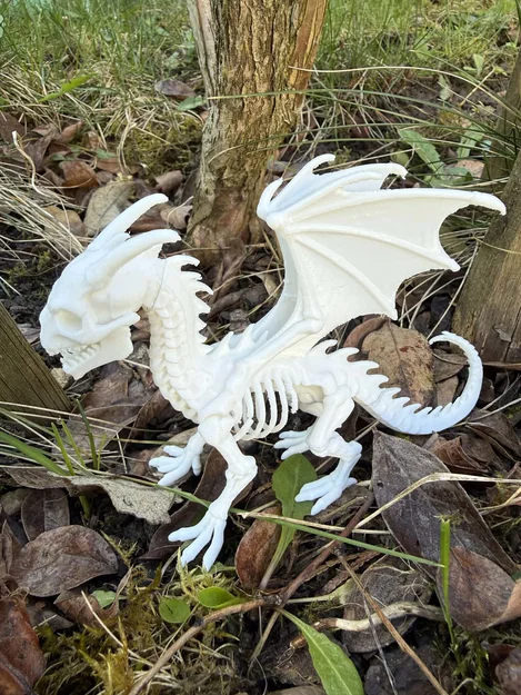 Bone Dragon, bộ xương rồng ấn tượng - Image 4