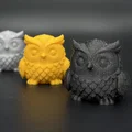 Chibi Owl – Bé Cú Hộ Vệ Thông Thái - Thumbnail 3