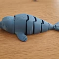 Mô hình hải cẩu khớp nối linh hoạt in không cần lắp ráp (Flexi Seal Fidget) - Thumbnail 3