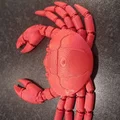 Mô hình cua khớp nối linh hoạt in liền khối (Articulated Crab Fidget Toy) - Thumbnail 3