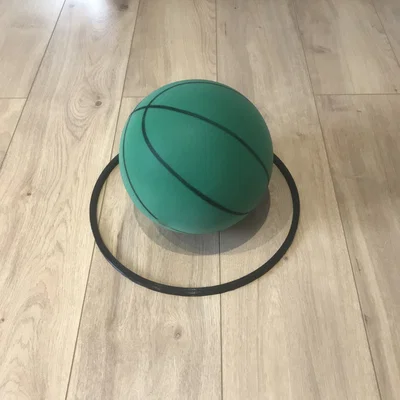 Vành Rổ Bóng Rổ Trong Nhà 260mm Gia Cố