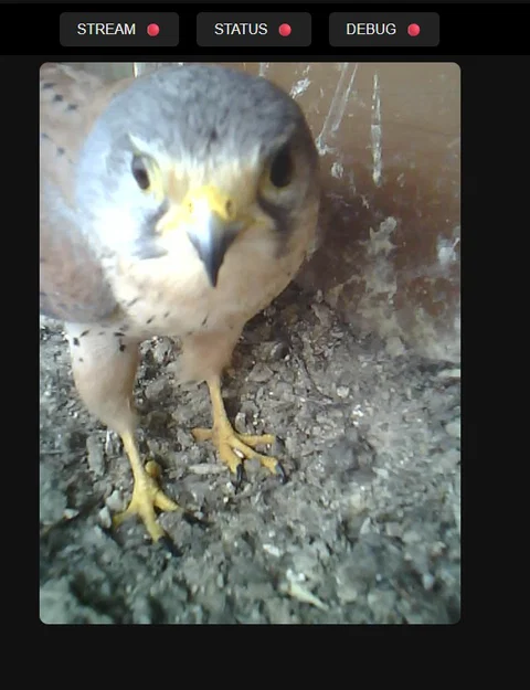 Vỏ bảo vệ và giá đỡ cho ESP32 Cam USB-C - Thiết kế bền bỉ, tiện lợi - Image 1