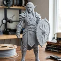 Mô hình 3D Chiến binh Elf cầm khiên cực ngầu cho người sưu tầm - Thumbnail 1