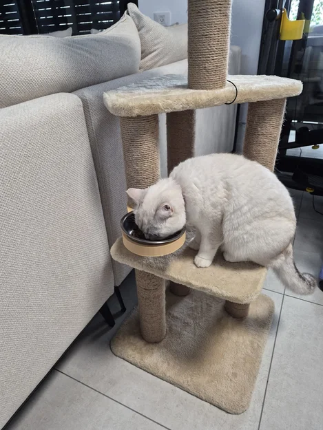 Giá đỡ bát ăn cho mèo gắn trụ cào móng - Thiết kế 3D tiện dụng - Image 4