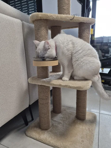 Giá đỡ bát ăn cho mèo gắn trụ cào móng - Thiết kế 3D tiện dụng - Image 5