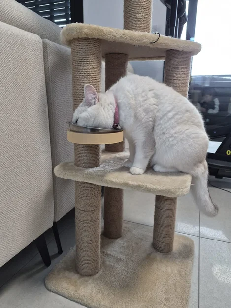 Giá đỡ bát ăn cho mèo gắn trụ cào móng - Thiết kế 3D tiện dụng - Image 6