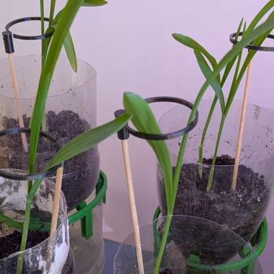 Bộ khung đỡ cây từ que xiên 3mm - Giải pháp in 3D cho khu vườn mini