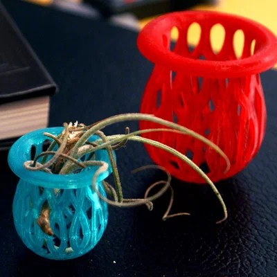 Giỏ Đựng Cây Không Khí (Air Plant Basket)