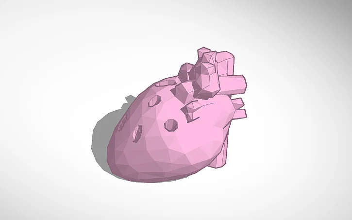 Mô hình trái tim trong bàn tay dành tặng Valentine - Image 2