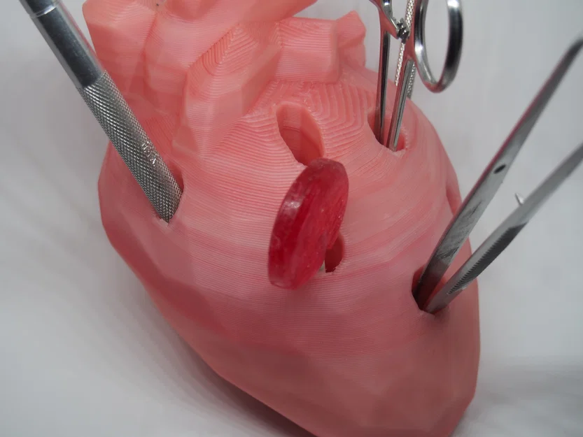 Mô hình trái tim trong bàn tay dành tặng Valentine - Image 6