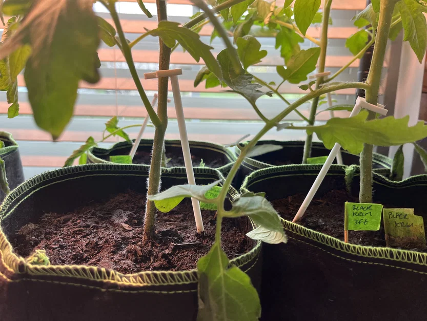 Cọc đỡ cây con và cây trồng nhỏ - Phụ kiện in 3D làm vườn hữu ích - Image 1