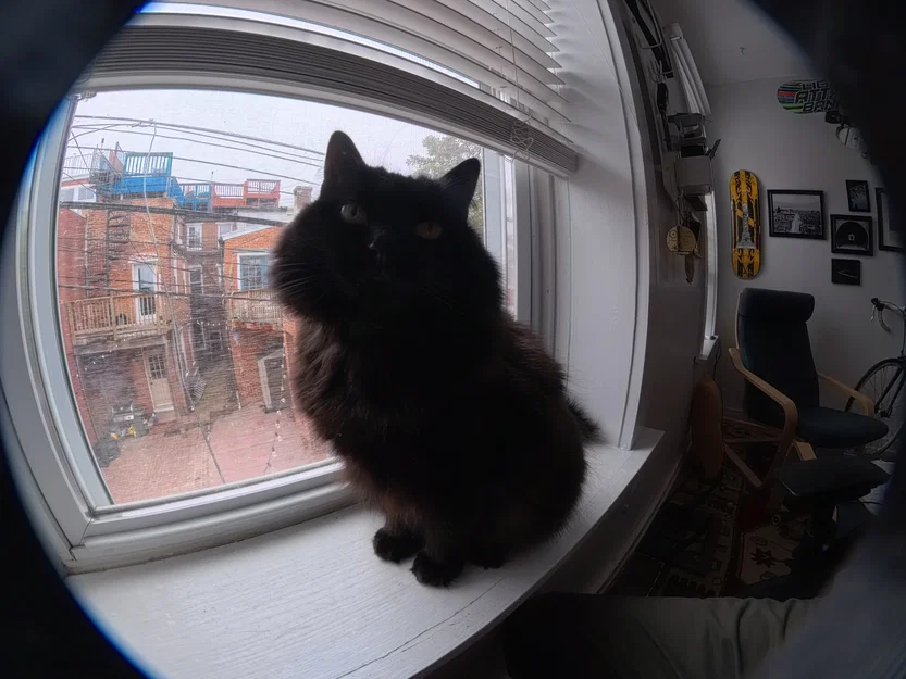 Lens Hood Hiệu Ứng Fisheye Cho Insta360 Ace Pro 2 Ultra Wide - Image 3