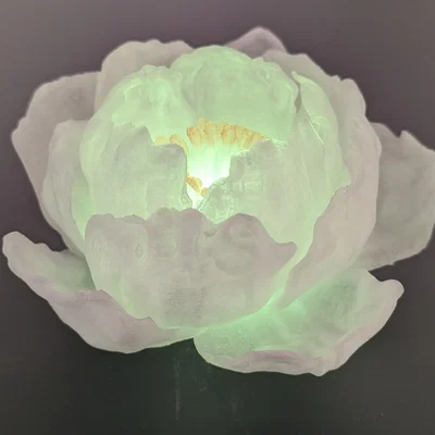 Đèn Hoa Mẫu Đơn Peony Tealight