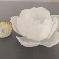 Đèn Hoa Mẫu Đơn Peony Tealight - Thumbnail 2