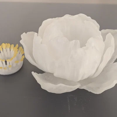 Đèn Hoa Mẫu Đơn Peony Tealight