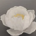 Đèn Hoa Mẫu Đơn Peony Tealight - Thumbnail 3
