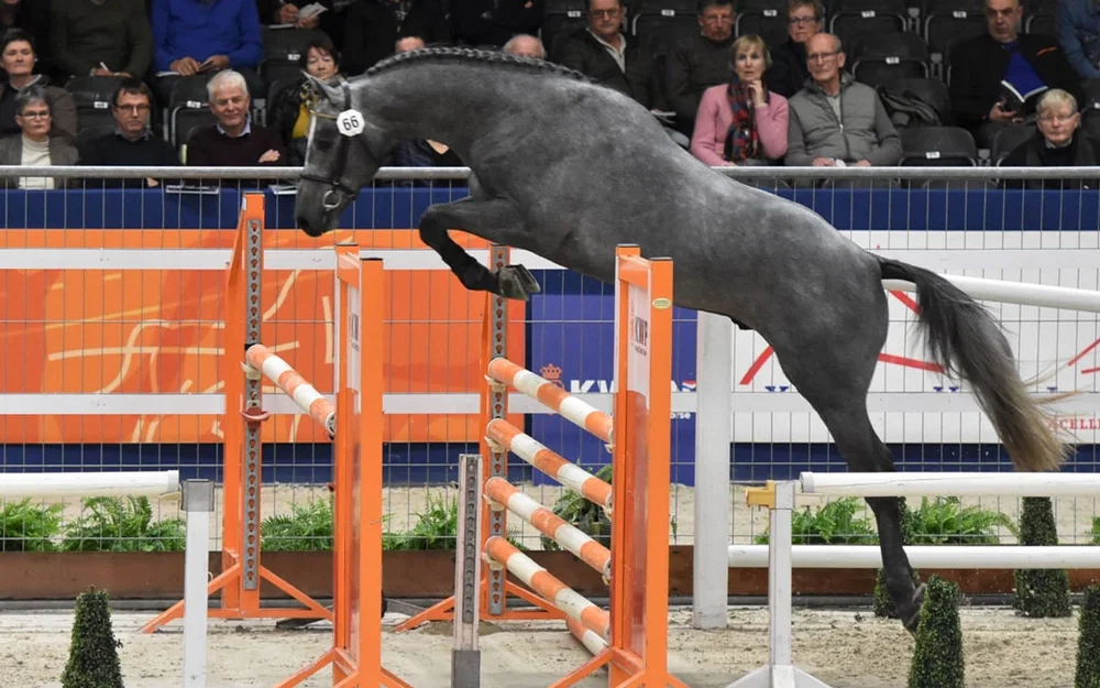 Giá treo thanh rào tập nhảy cho ngựa - Giải pháp lưu trữ 3D tiện lợi - Image 1