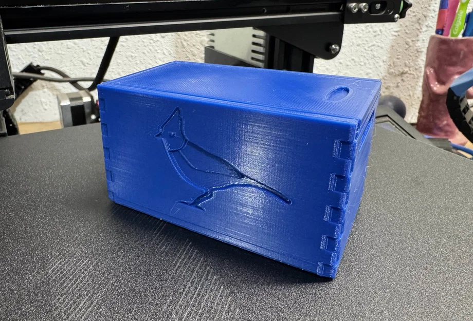 Hộp đựng đồ nắp trượt Steller’s Jay - File in 3D tiện lợi - Image 1