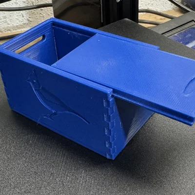Hộp đựng đồ nắp trượt Steller’s Jay - File in 3D tiện lợi