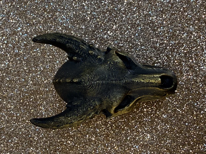 Mô hình đầu lâu rồng Dragon Skull - Tác phẩm nghệ thuật độc đáo - Image 5