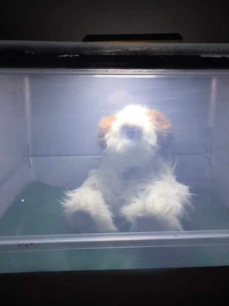 Các bộ phận để lắp ráp Wallace - Image 1