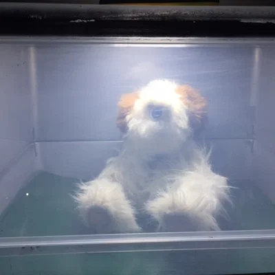 Các bộ phận để lắp ráp Wallace