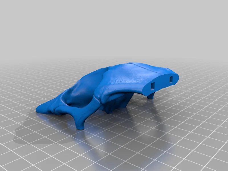 Fang Skull - Mô hình đầu rồng Animatronic in 3D - Image 13