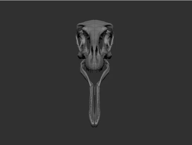 Fang Skull - Mô hình đầu rồng Animatronic in 3D - Image 32